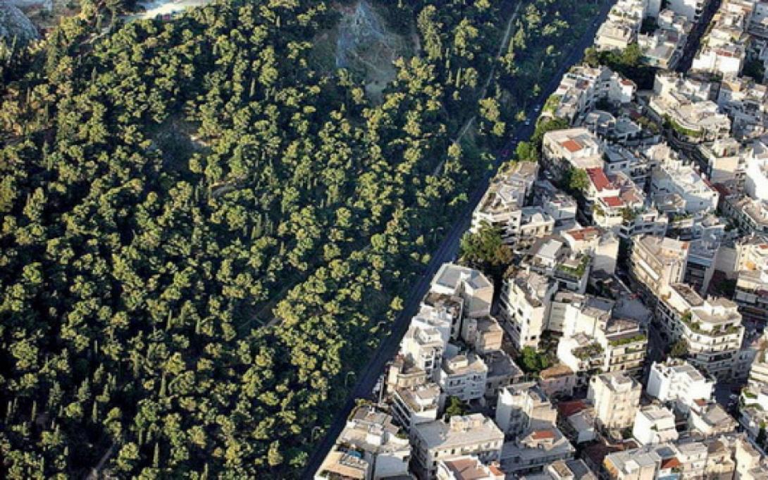 δασικοί χάρτες