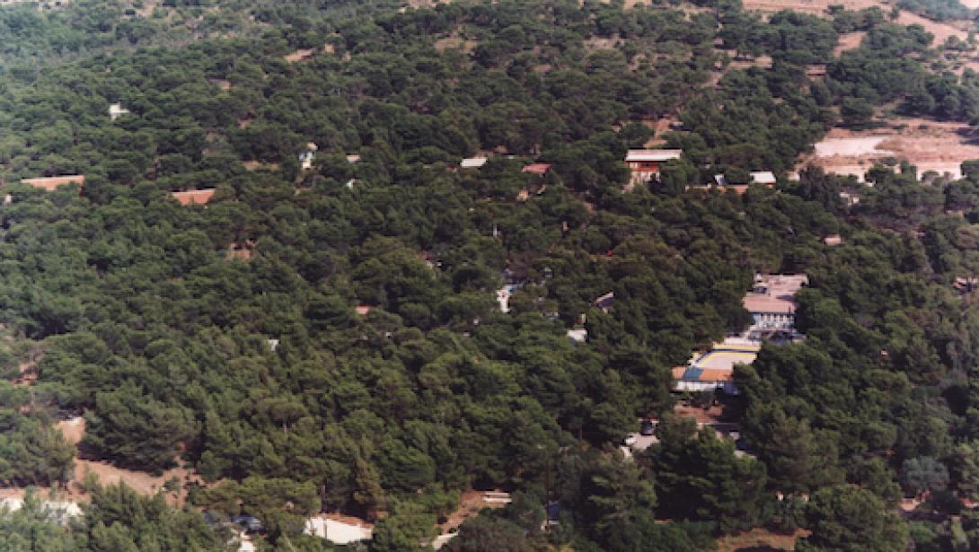 δασικοι χαρτες