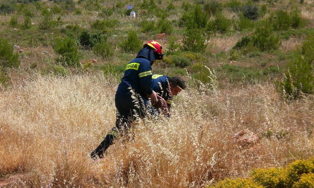 δασοπροστασία