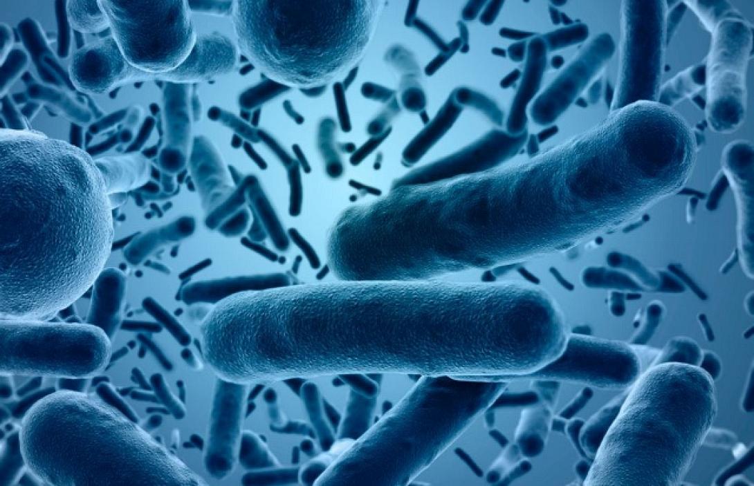 μικροβιο,ιος