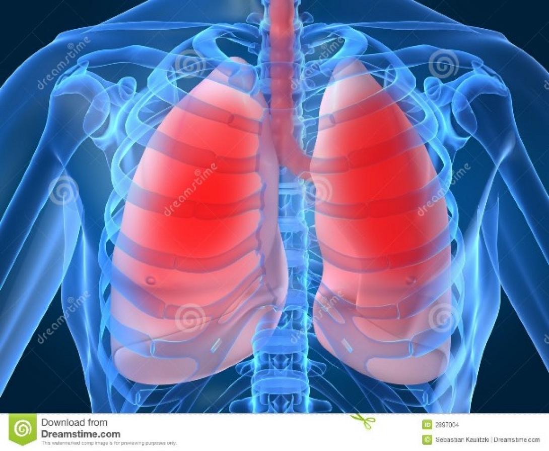 Νέο ανθρώπινο πνεύμονα κατάφεραν να δημιουργήσουν οι επιστήμονες