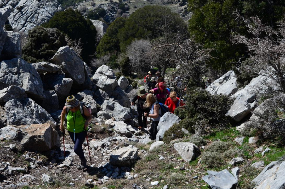 πεζοπορια συλλογος