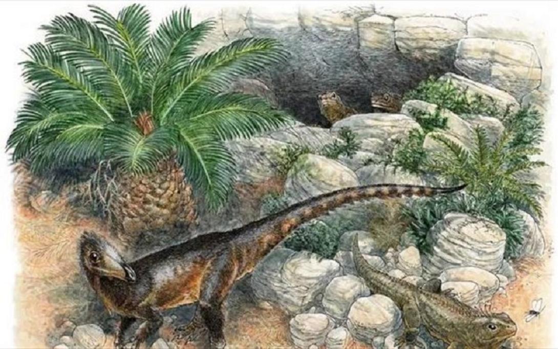 ΤΥΡΑΝΝΟΣΑΥΡΟς