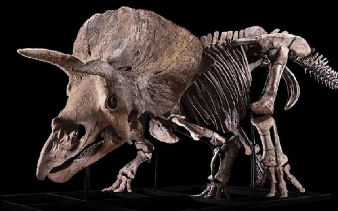 τρικερατωψ