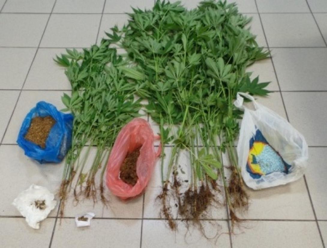 δενδρυλλια