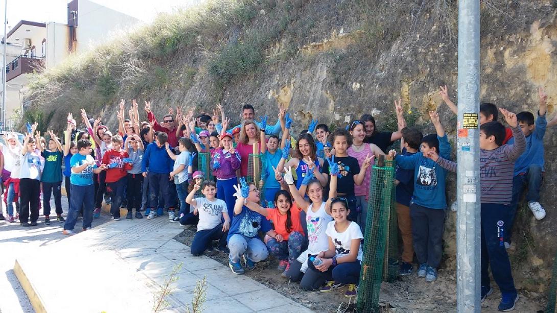 δεντροφυτευση, γαζι