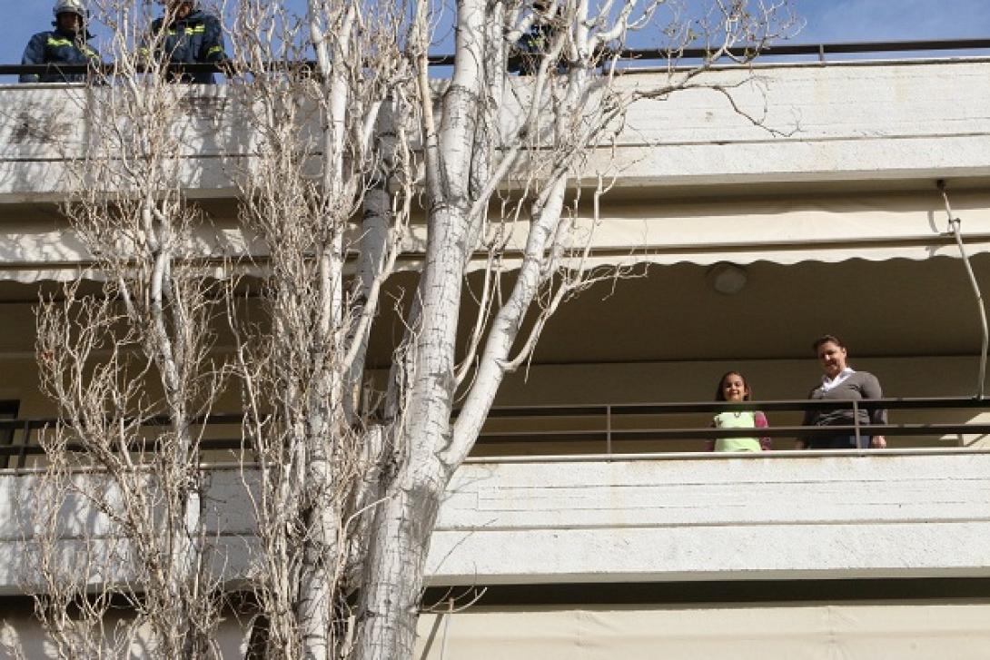 Ηράκλειο: Αναστάτωση από δέντρο 30 μέτρων που ... πλάγιασε σε πολυκατοικία! (φωτορεπορτάζ)