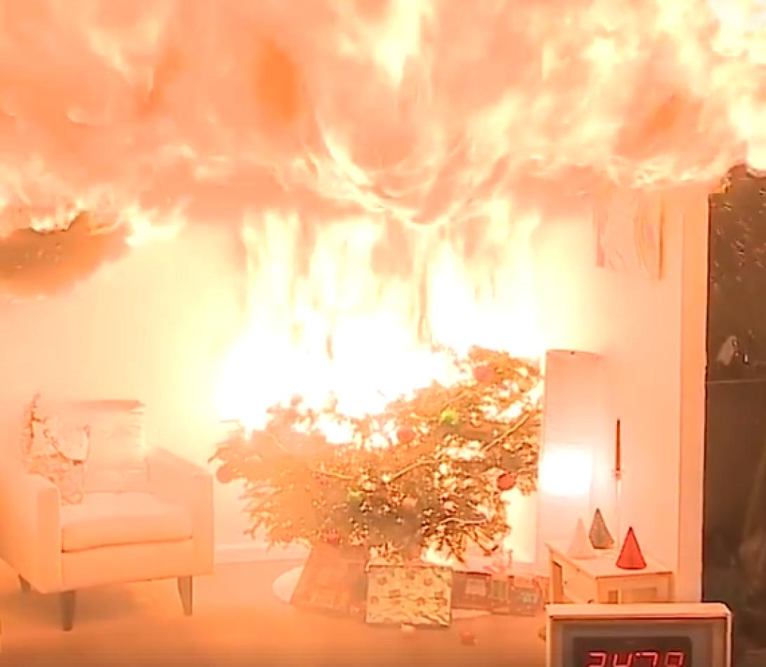 Δεντρο Φωτια