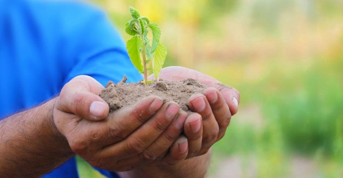 Κάλεσμα εθελοντών για να ... πρασινίσει ο τόπος του Ρεθύμνου