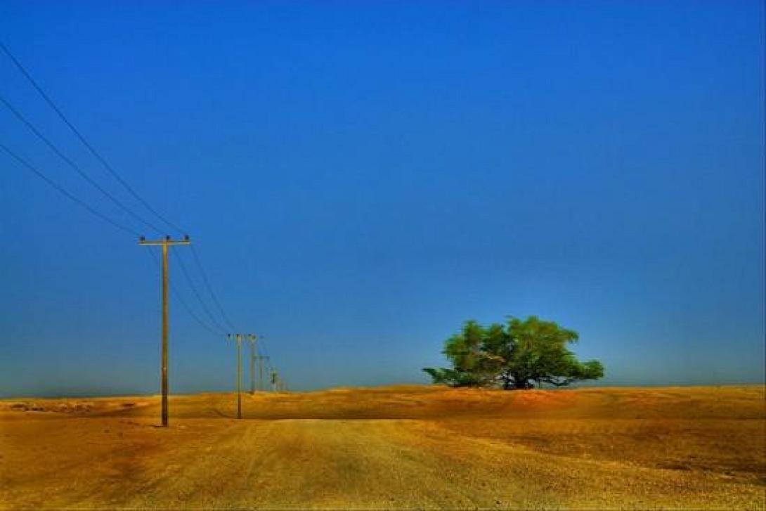 «Το δέντρο της ζωής» – Ένα μυστηριώδες φυσικό φαινόμενο