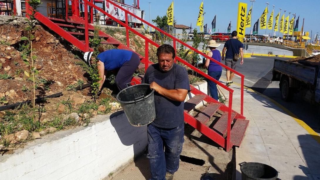 δενδροφύτευση αεροδρόμιο