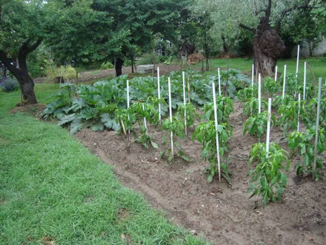 Φωτό αρχείου