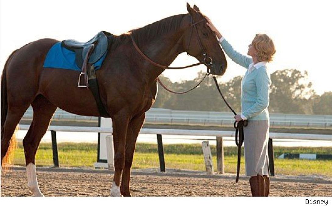 αλογο,κοπελα