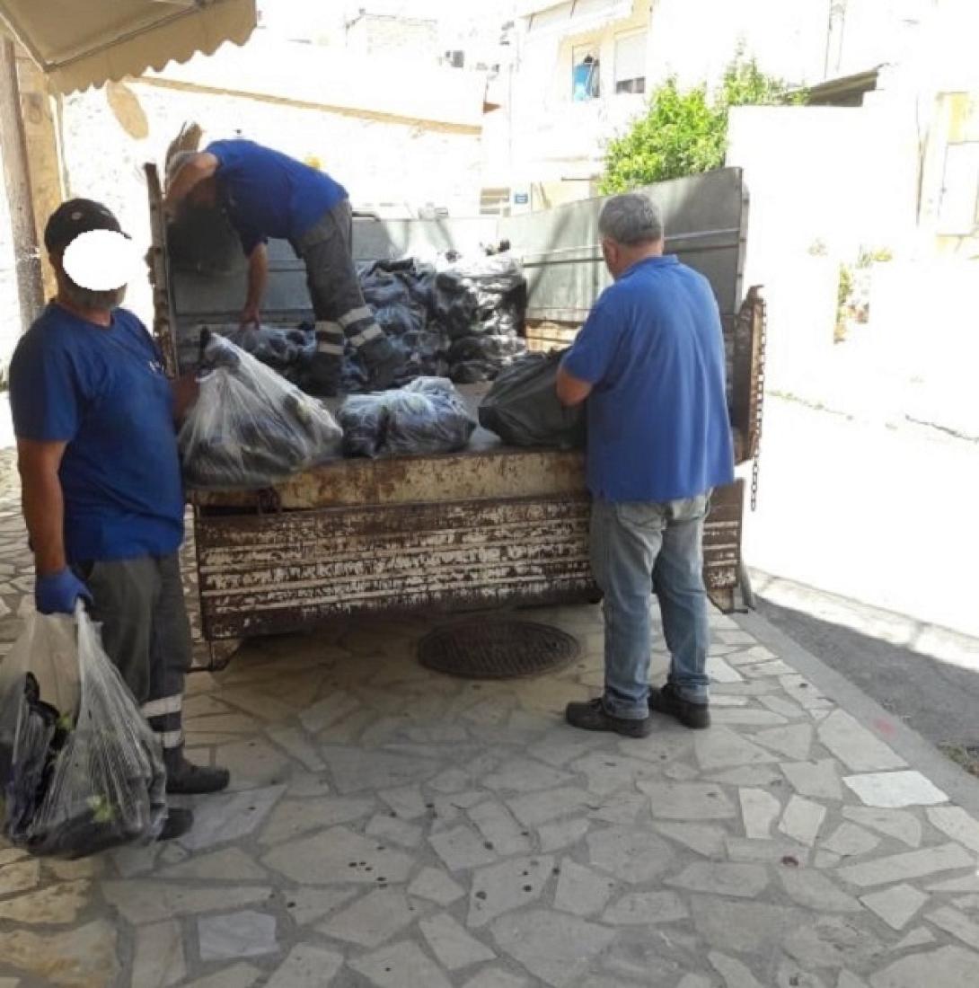 οπωρηκεπευτικα