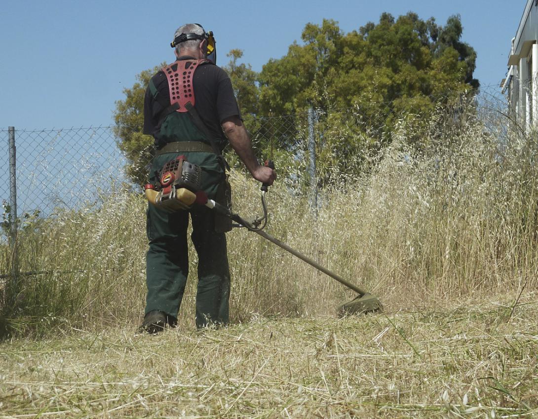 φωτο αρχειου