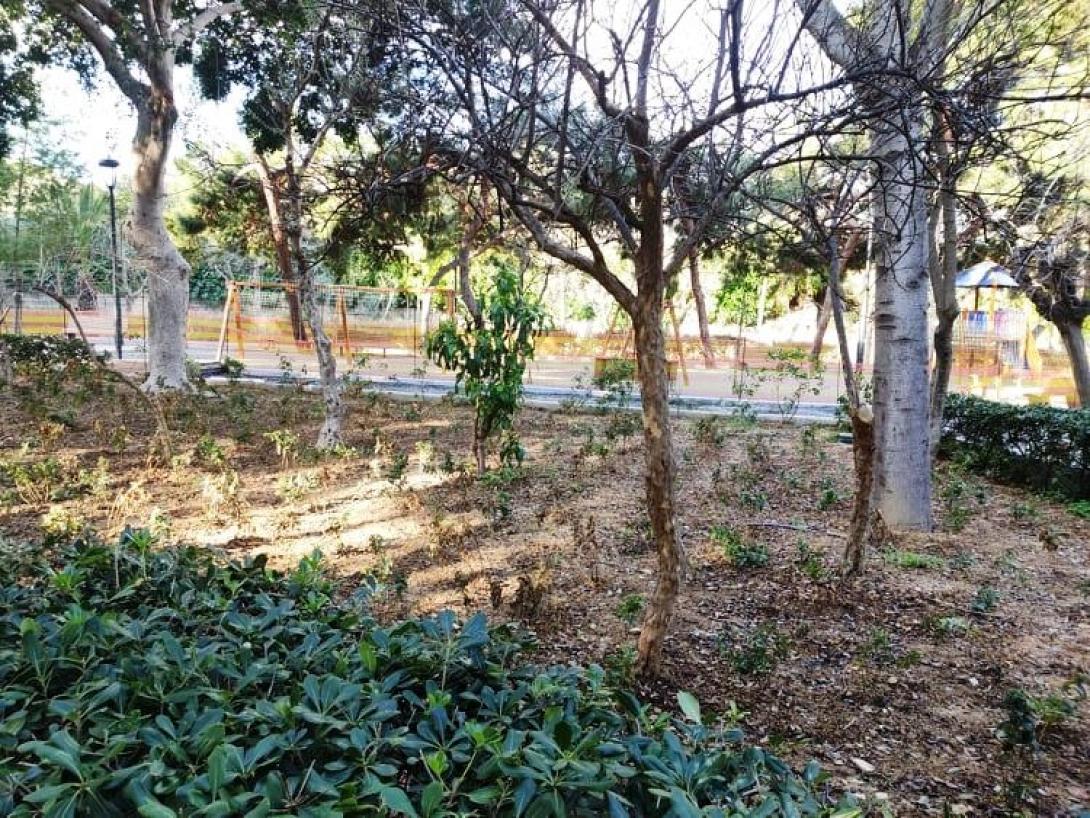 Πάρκο Γεωργιάδη