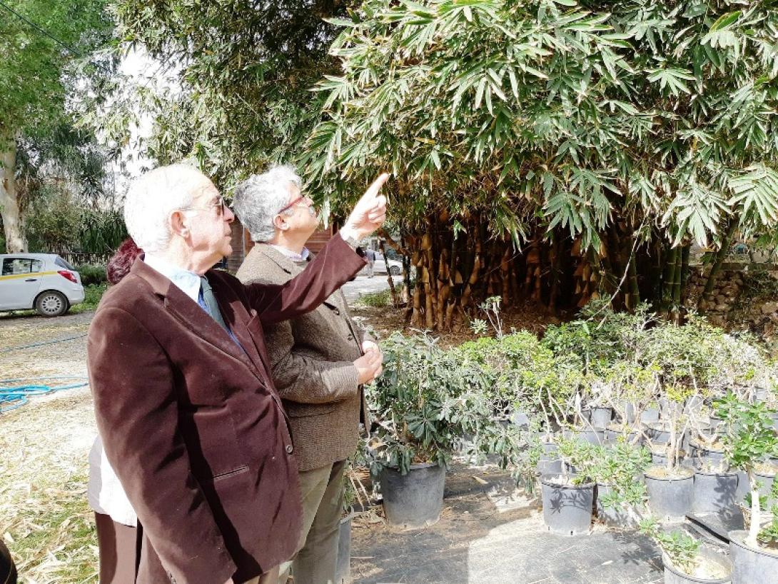 λαμπρινός ΔΕΥΑΗ