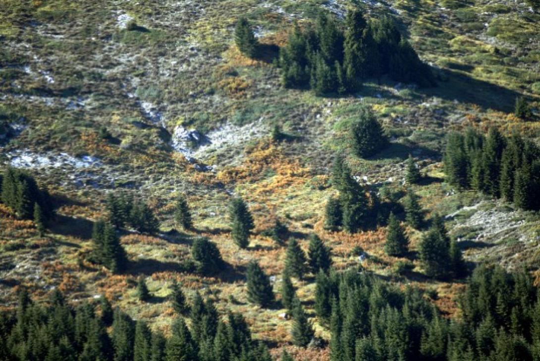 Δημόσιες εκτάσεις