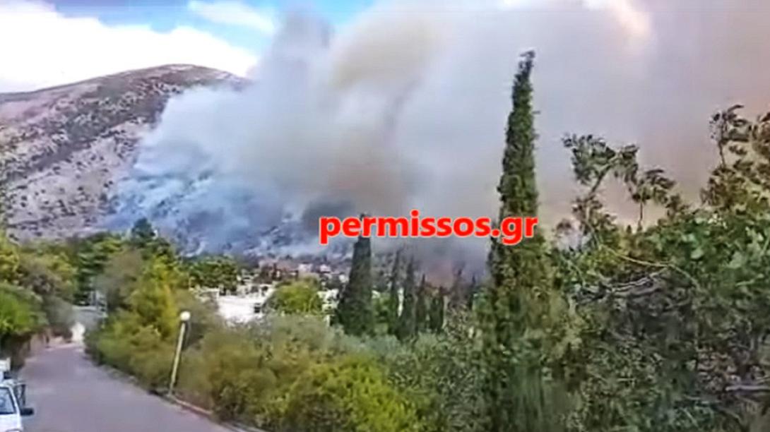 Δίστομο φωτιά