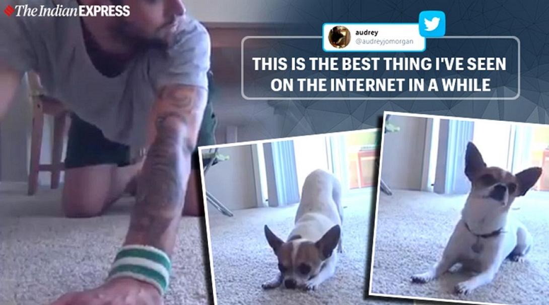 σκυλος γιόγκα