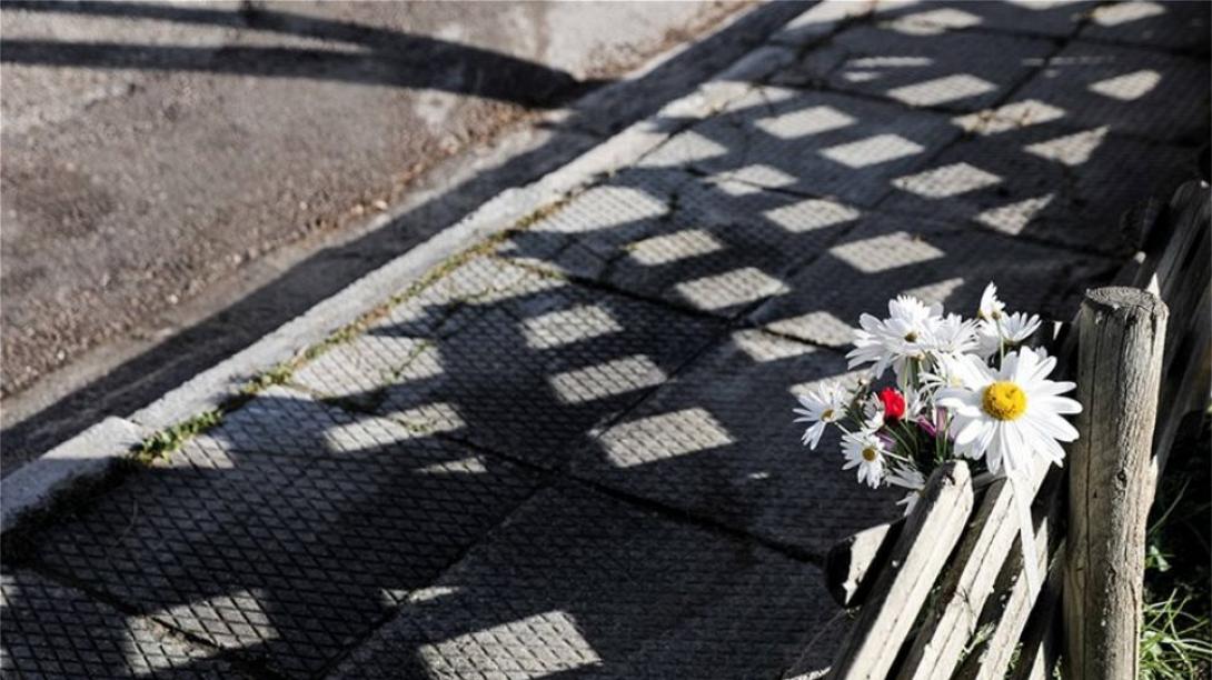 δολοφονία καραϊβάζ