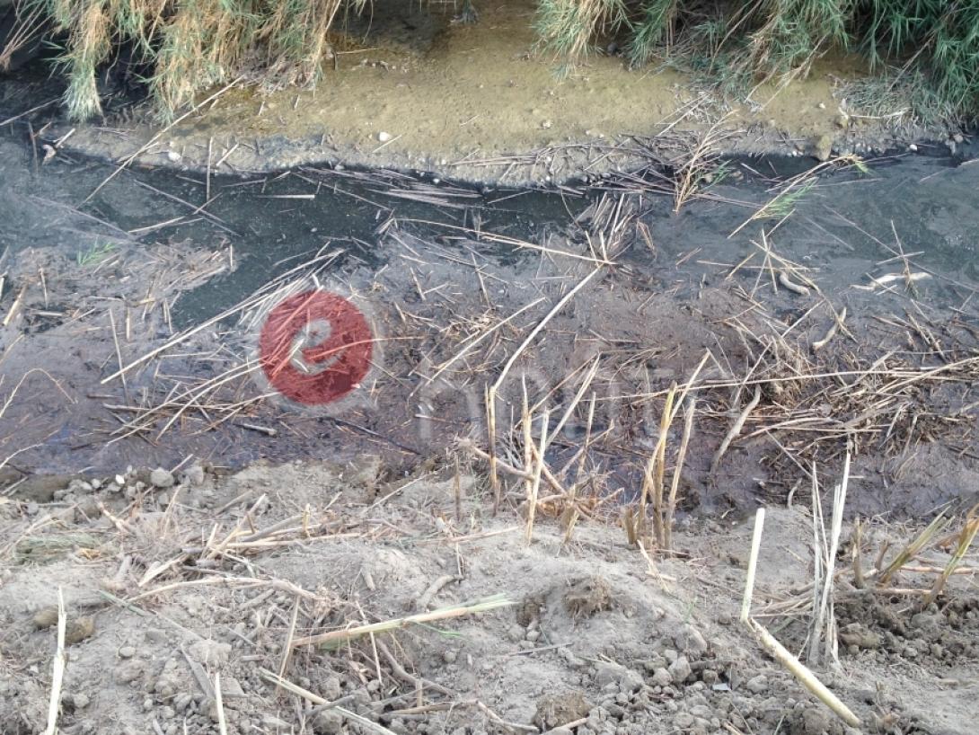 δρακουλιάρης