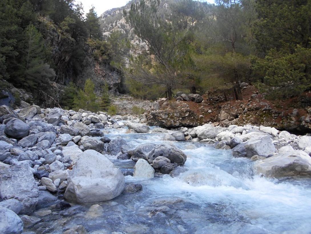 δρυμος σαμαριας