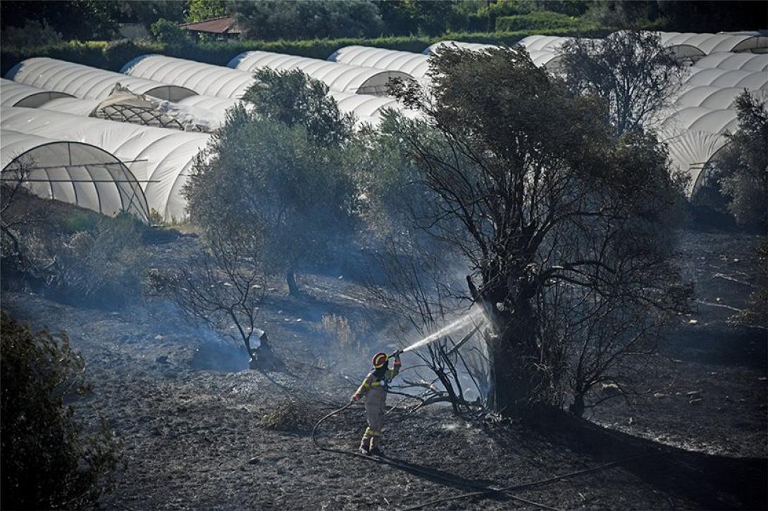 φωτια πυρκαγια.jpg