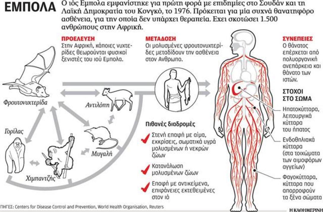 "Πολύ χαμηλός" ο κίνδυνος από τον ιό Έμπολα στην Ελλάδα