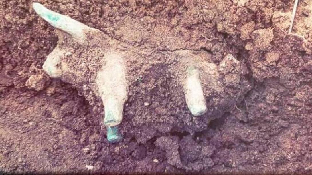 Αρχαία Ολυμπία: Στο φως χάλκινο ειδώλιο ταύρου