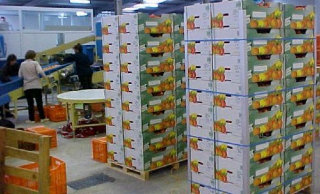 Σε ανοδική πορεία οι κρητικές εξαγωγές 