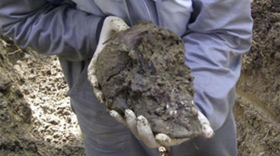 ταφος εκκενωση