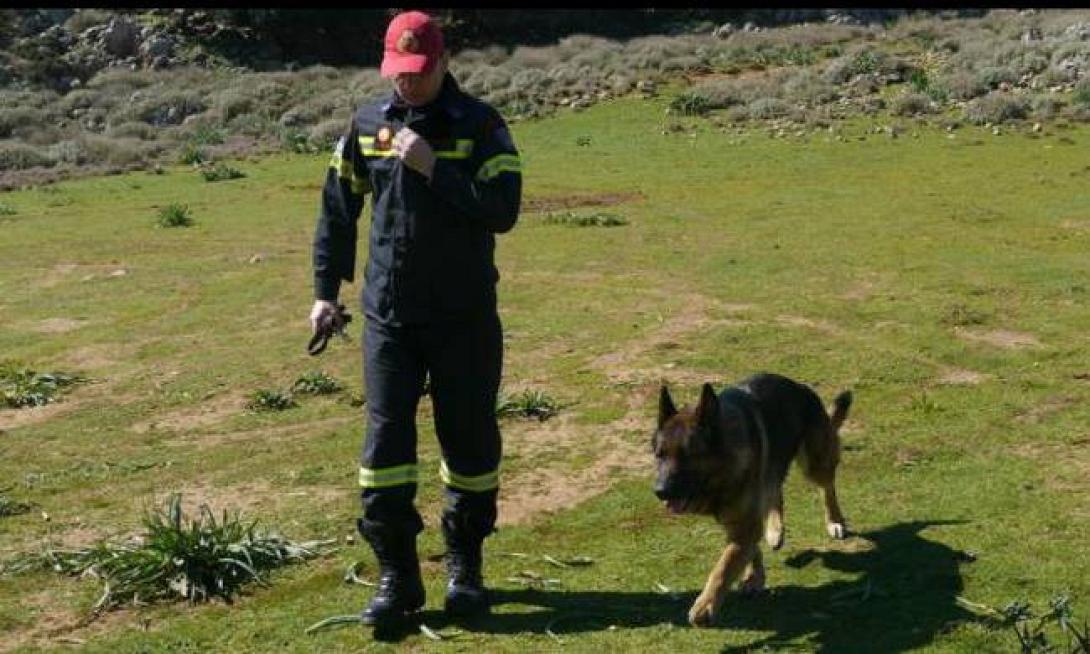 έρευνες εξαφάνιση 