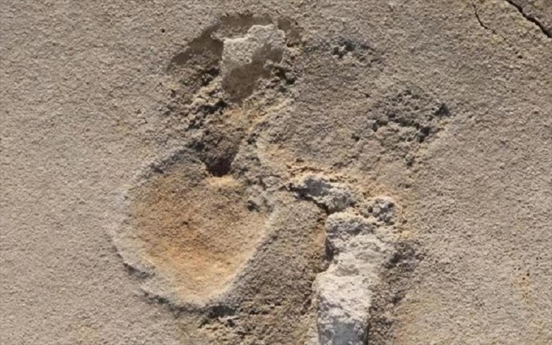 Πατημασιές