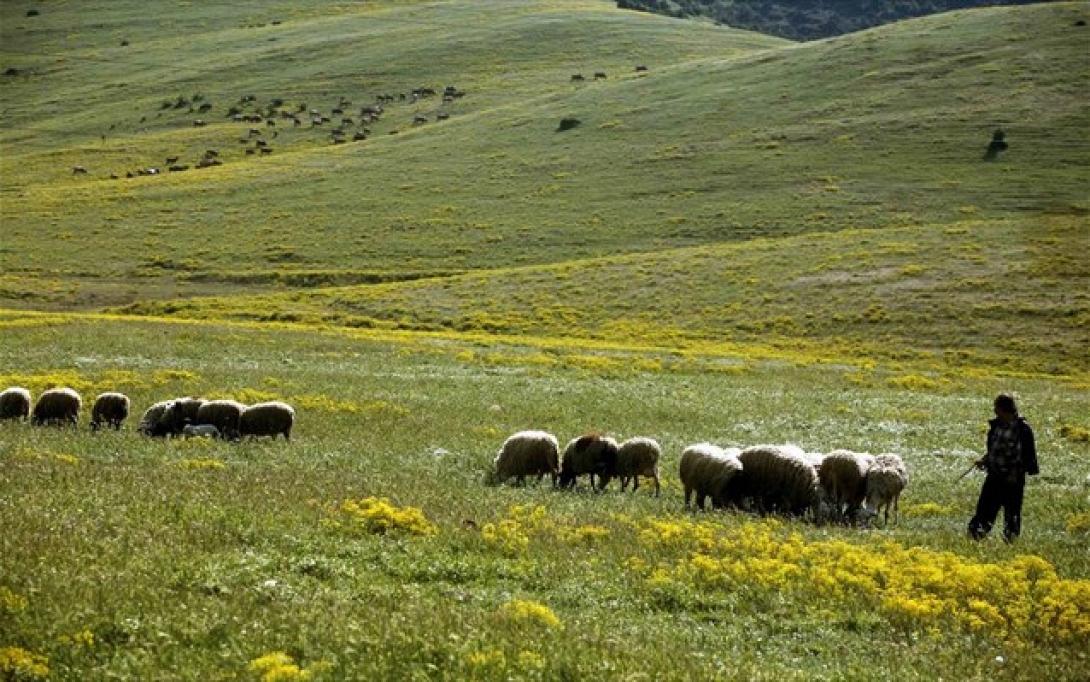 Μετά τις αντιδράσεις, πιστώνονται  πρόσθετα ποσά για την εξισωτική 