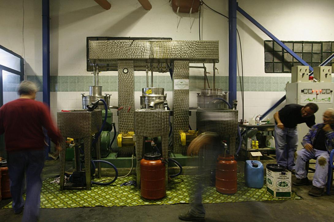 Το Ελληνικό ελαιόλαδο χάνει την μάχη των εξαγωγών στις ΗΠΑ