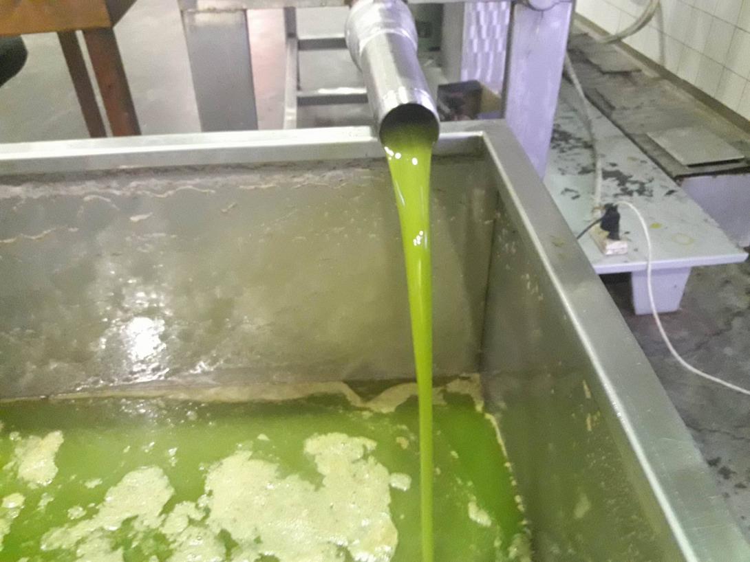 ελαιουργειο