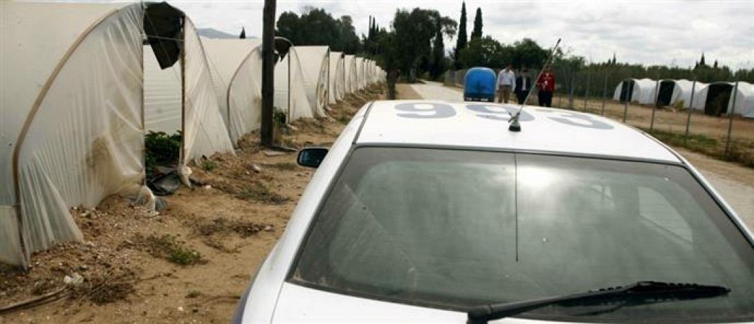 έγκλημα θερμοκήπιο