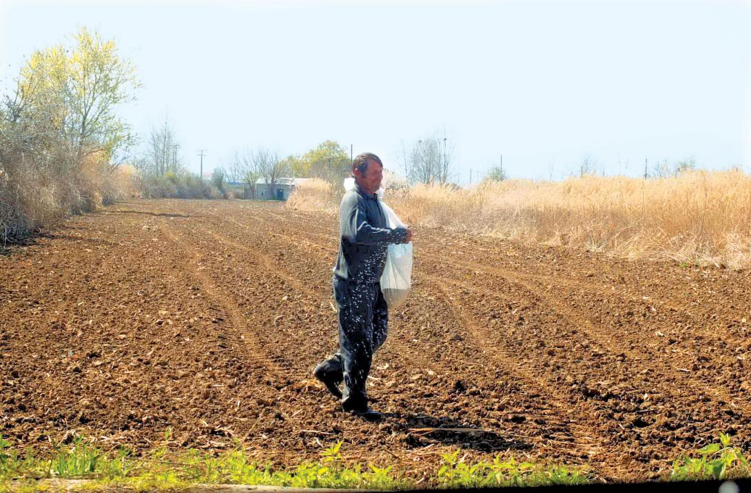 "Δεν καταδέχονται να δουλέψουν στα χωράφια οι Έλληνες"