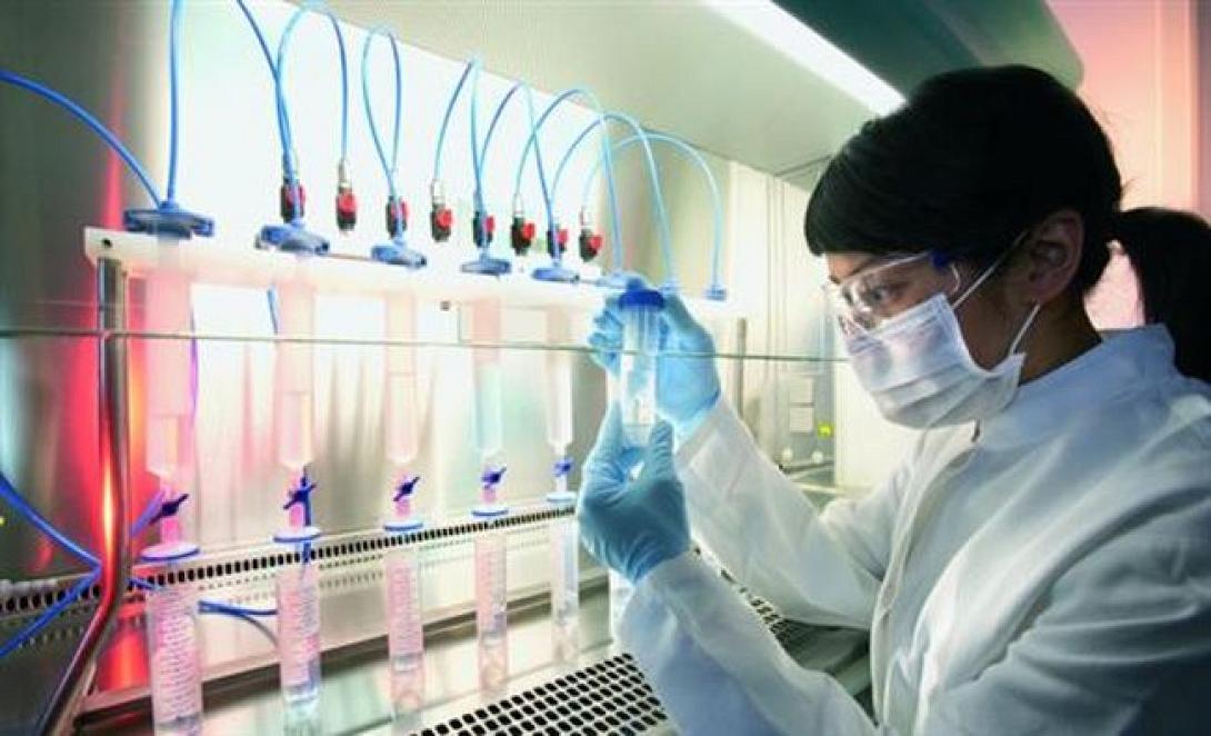 Πειραματικό φάρμακο για τον Έμπολα, 100% αποτελεσματικό σε πιθήκους