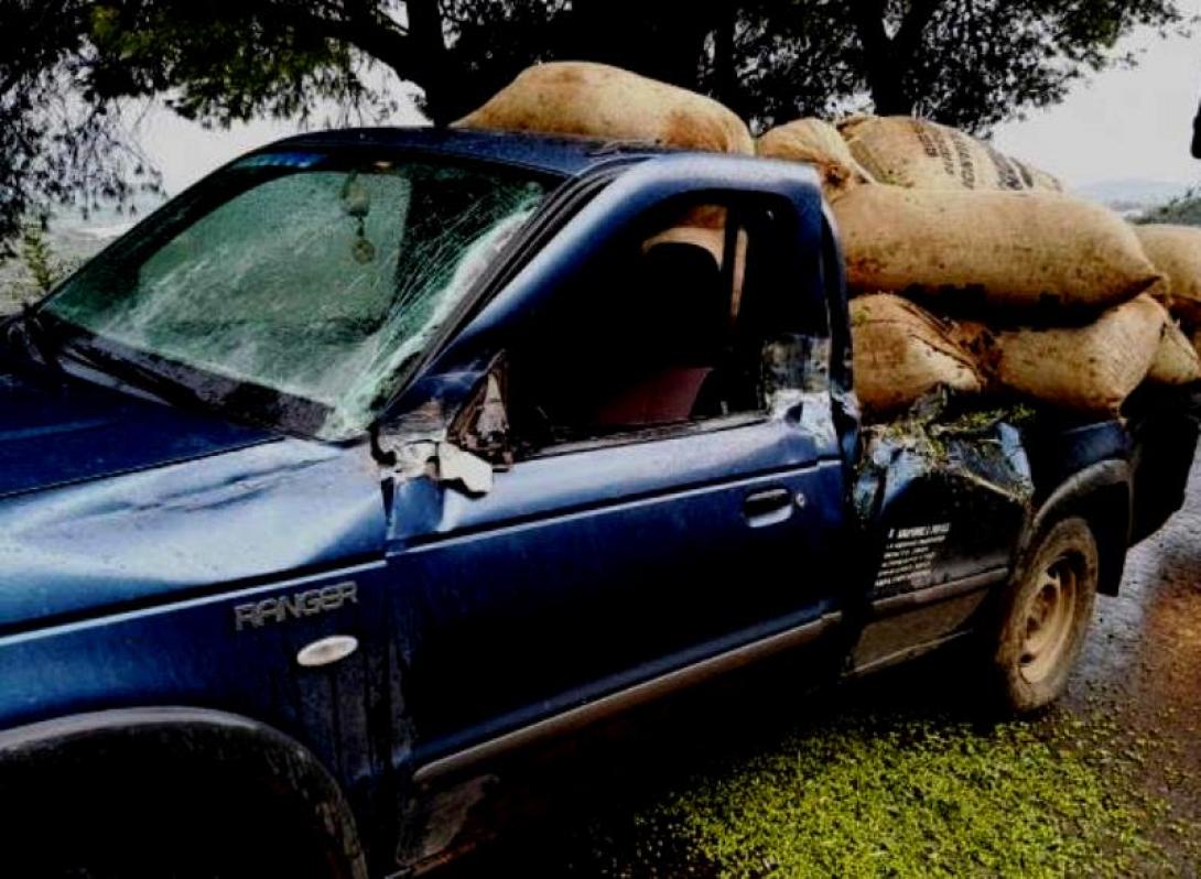 αγροτικο ελιες.jpg