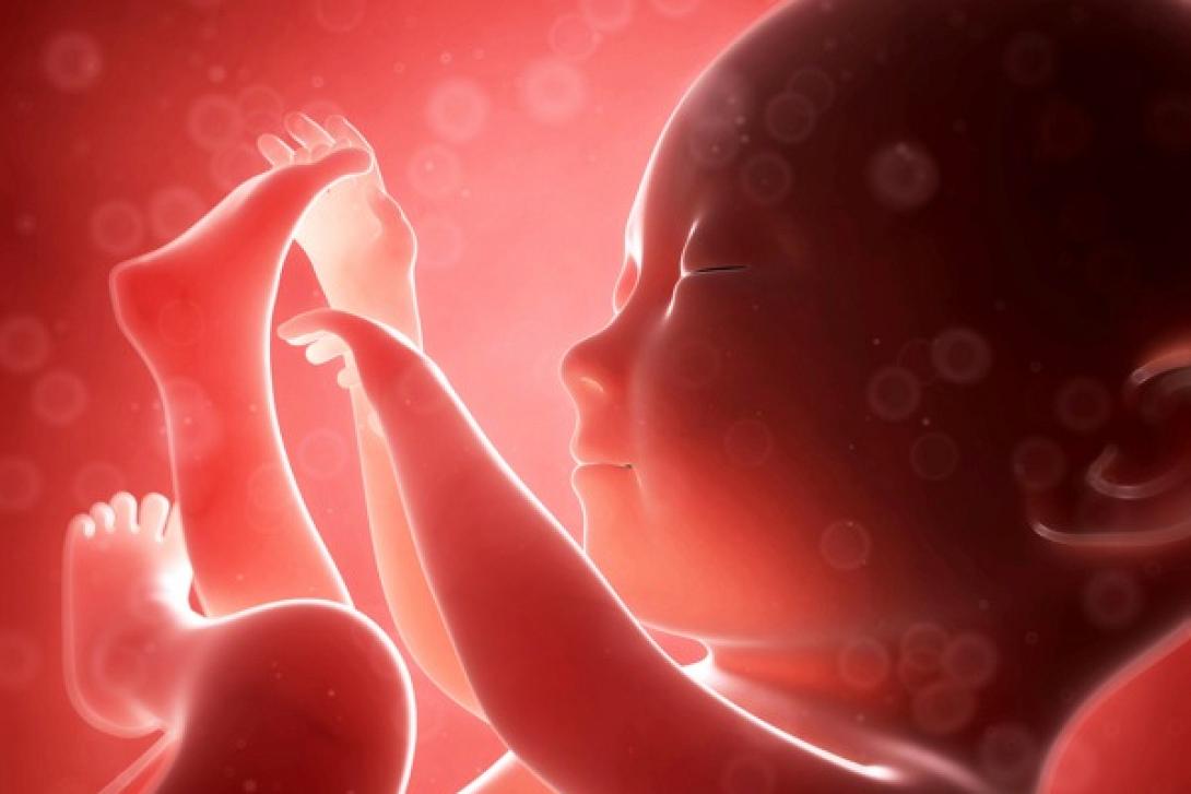 Ολόκληρη η εγκυμοσύνη μέσα σε ένα υπέροχο βίντεο 4 λεπτών