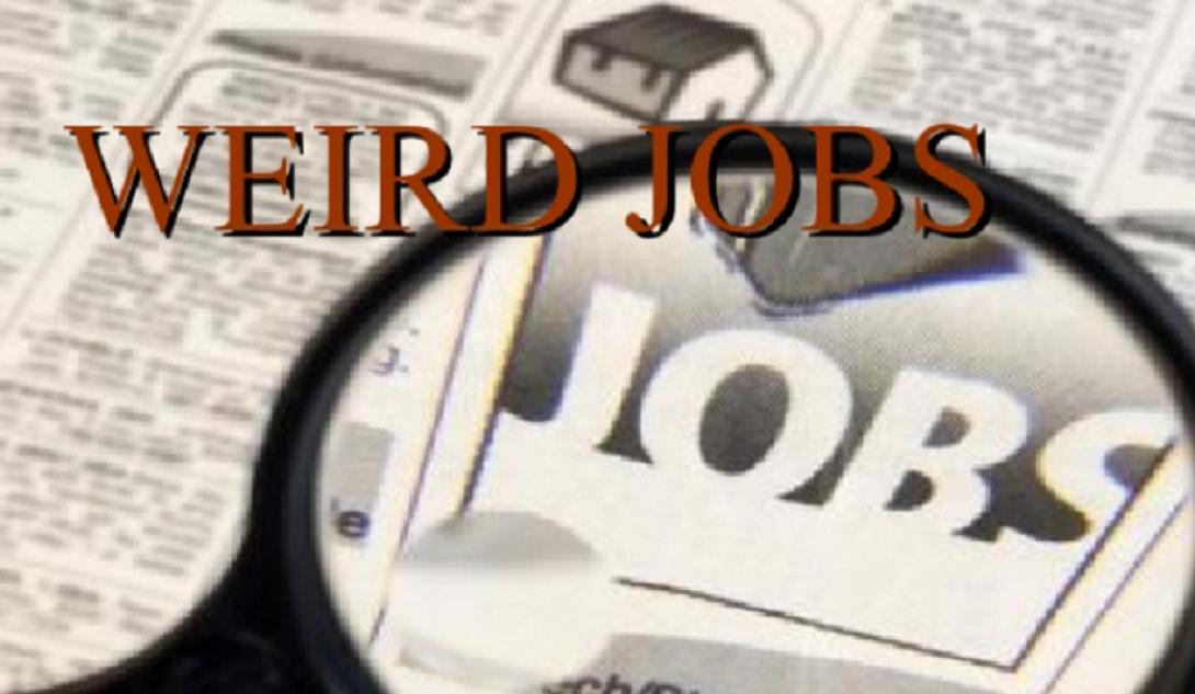 περιεργα επαγγελματα