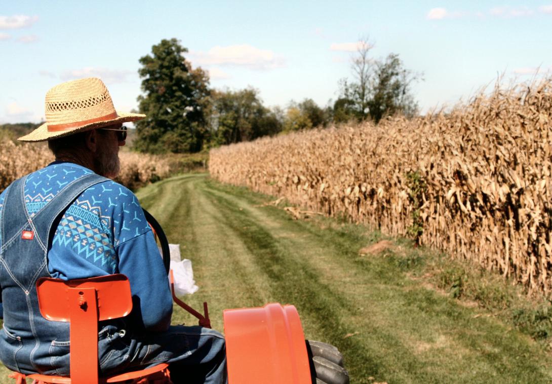 Το Ευρωπαϊκό Δικαστήριο ζητά πίσω ενισχύσεις 150 εκατ. σε αγρότες 