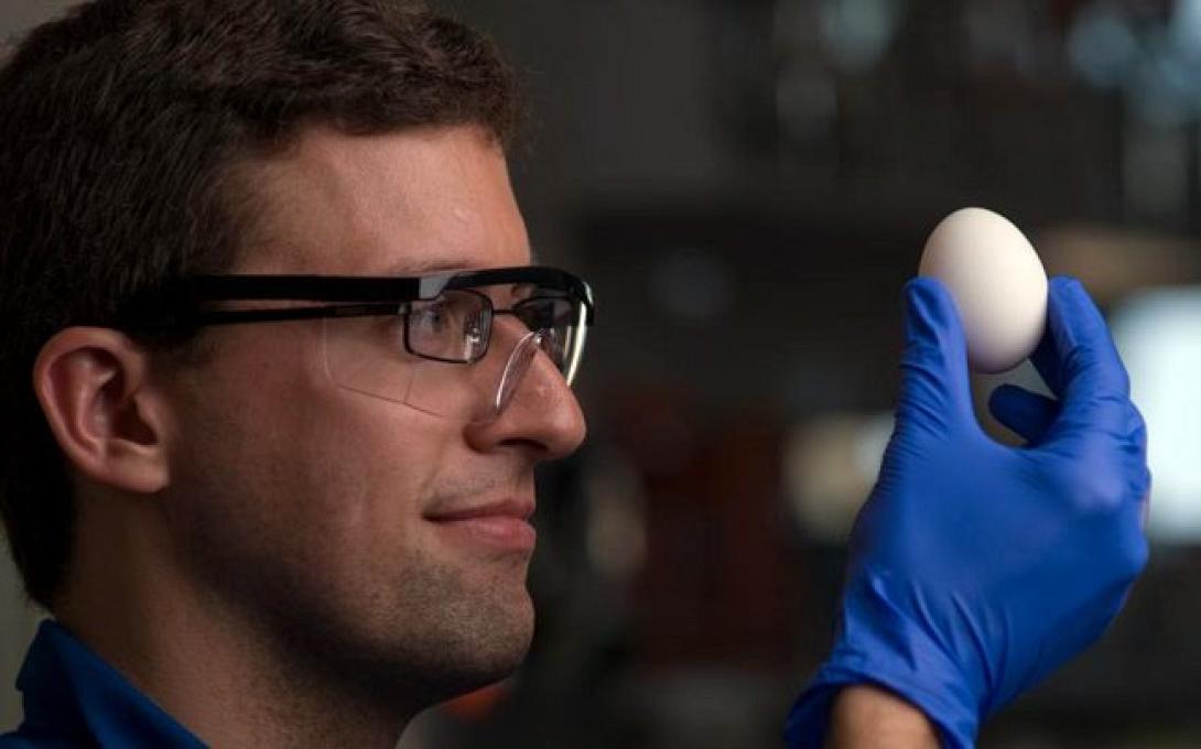 Κατάφεραν να ξε-βράσουν βραστά αυγά!