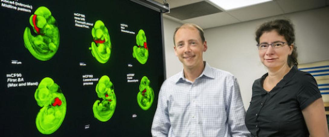 Δημιούργησαν φωτογραφία προσώπου, από μία απλή τρίχα!