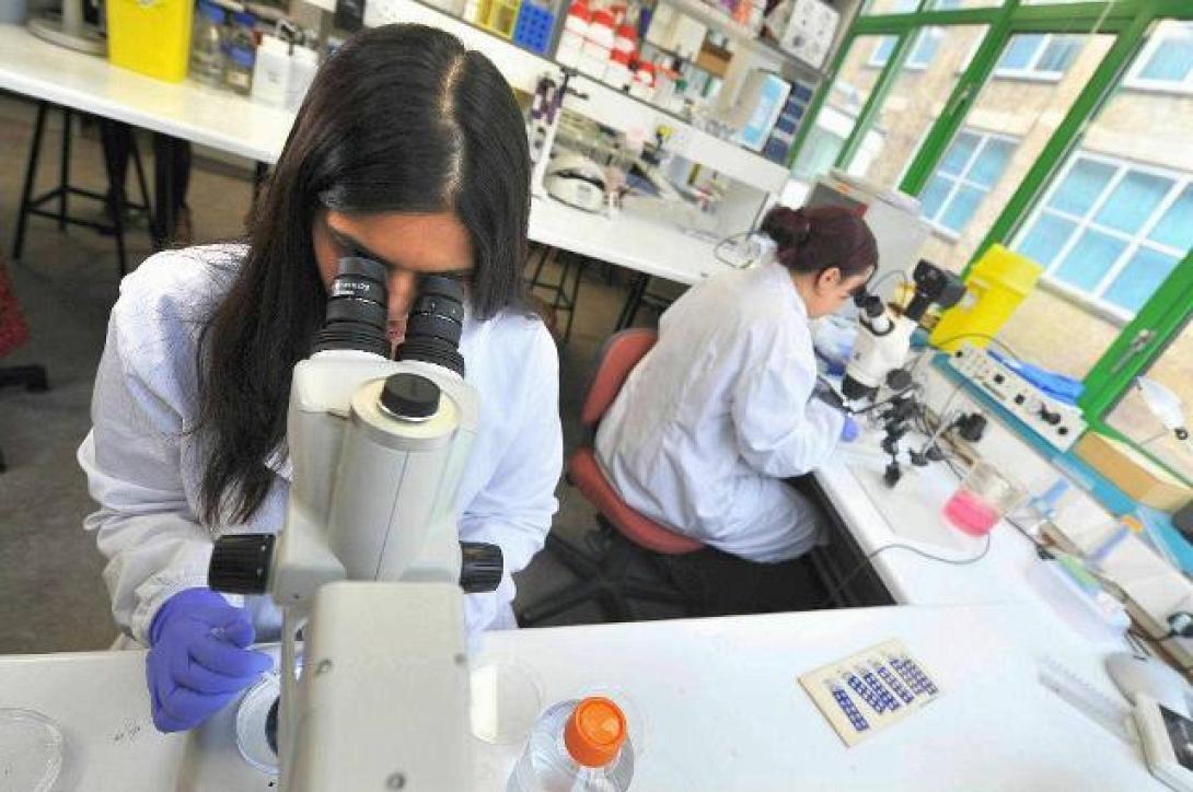 ερευνητρια