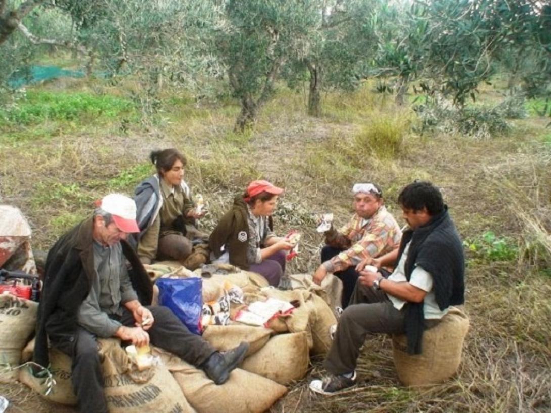 εργάτες γης
