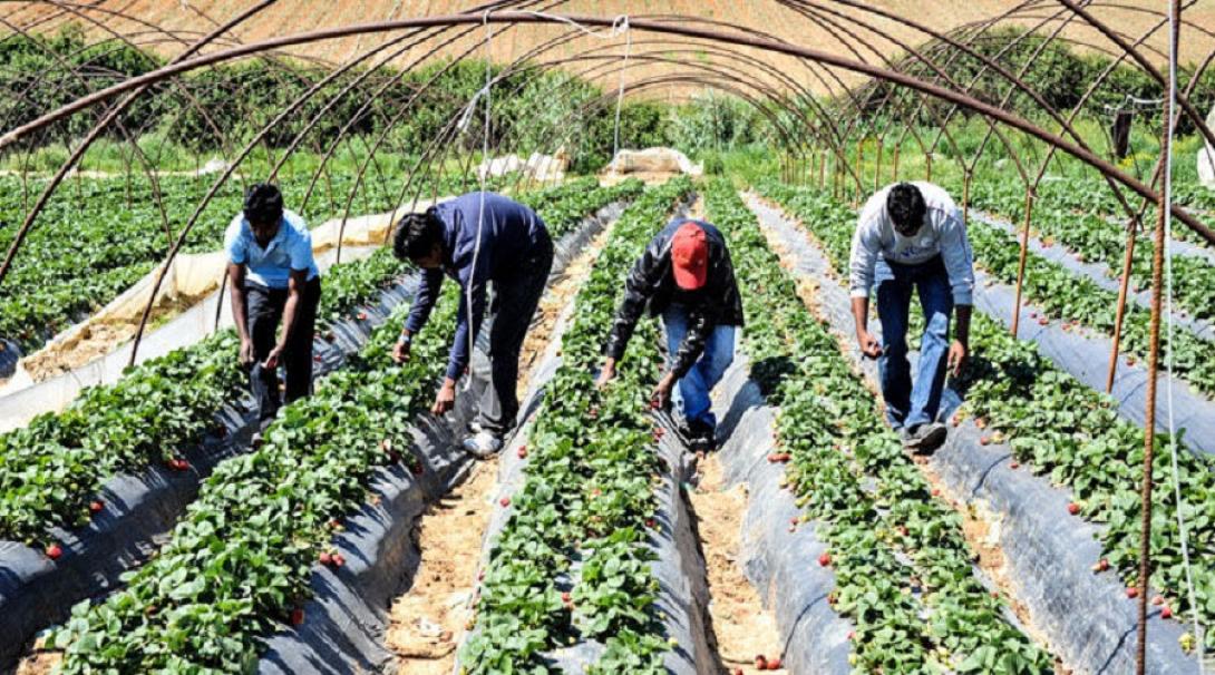 Αλλοδαποί εργάτες