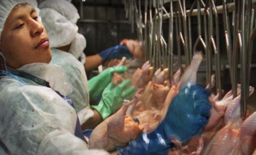 εργατες ηπα